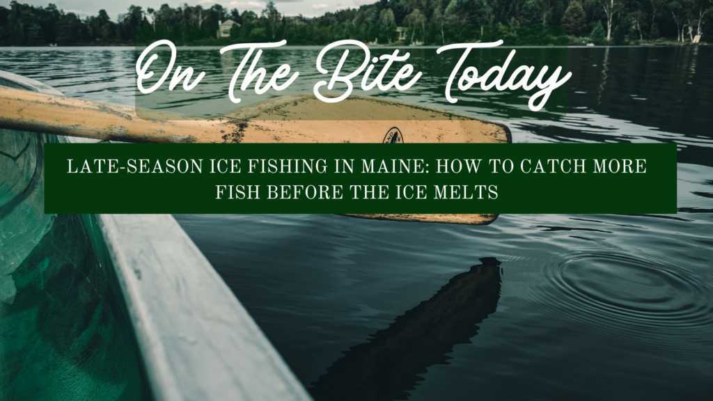 Late Season Ice Fishing In Maine How To Catch More Fish Before The Ice Melts