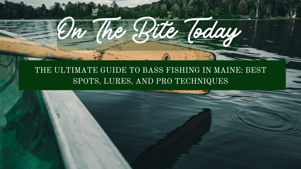 The Ultimate Guide To Bass Fishing In Maine Best Spots, Lures, And Pro Techniques