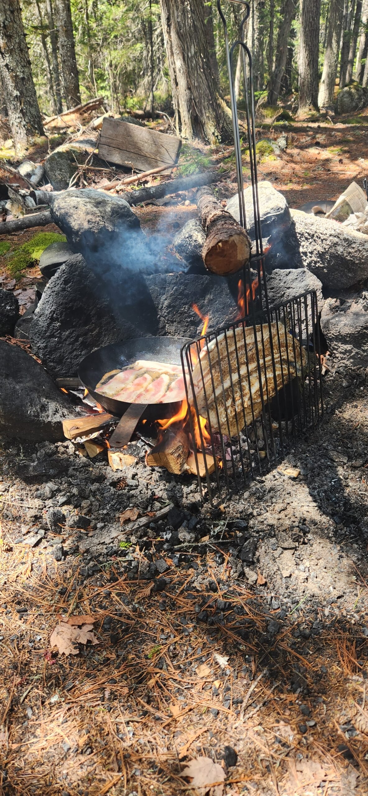 Fresh Salmon and bacon cooking over a campfire in the Maine woods.